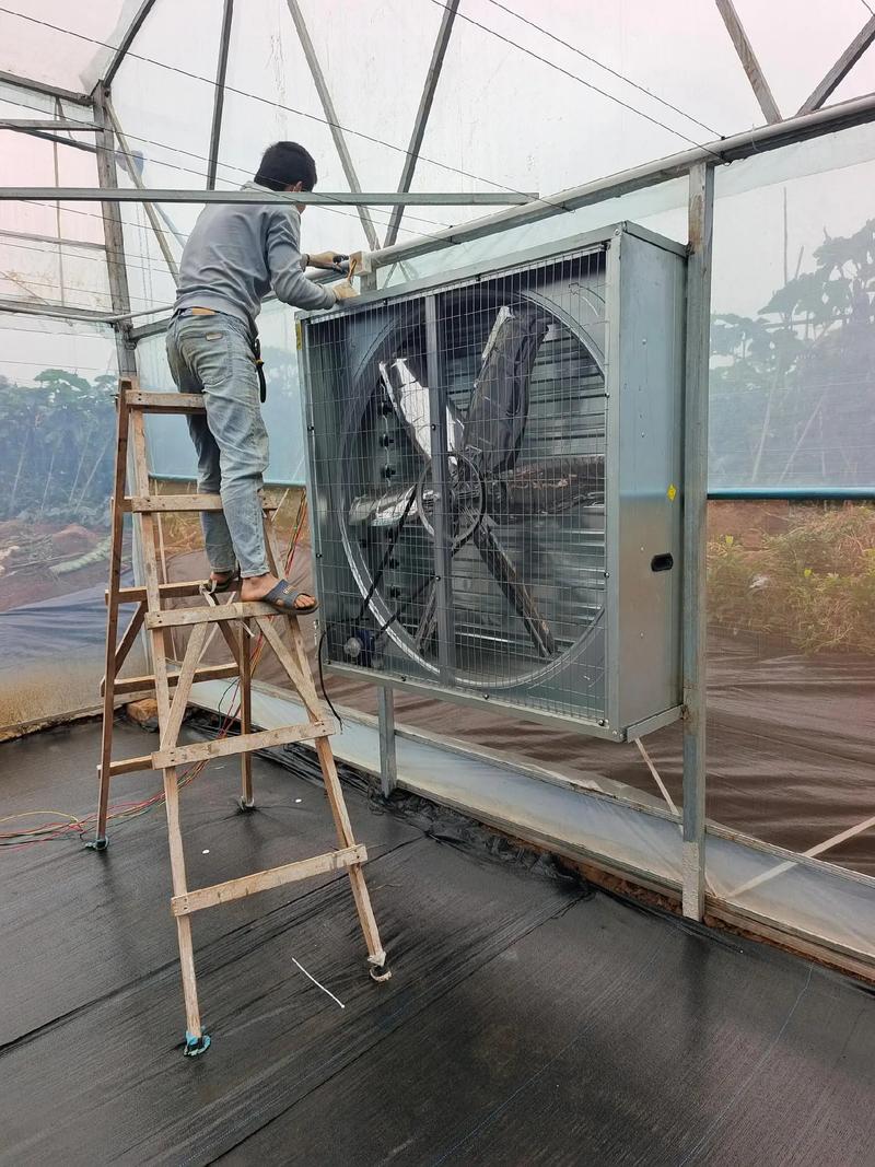 大棚水暖电升级 高效三箱电风机为恒温与节能保驾护航
